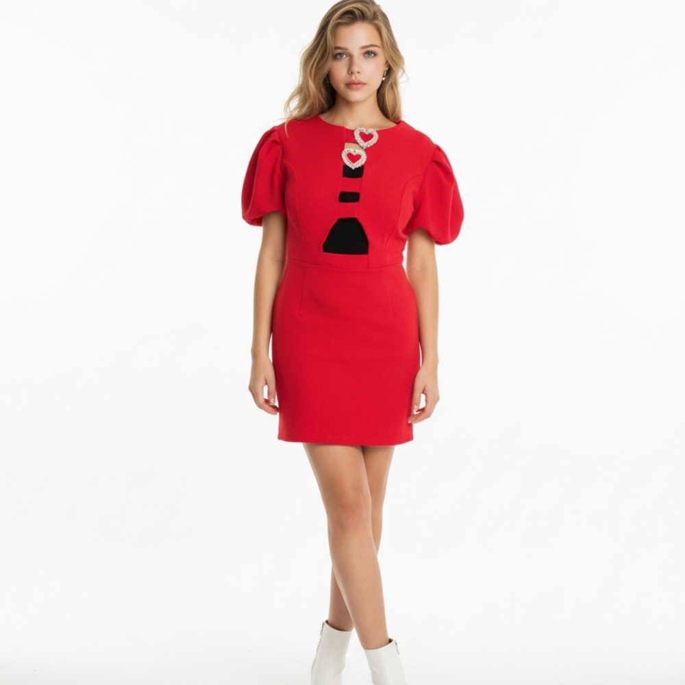 Elegant Red Puff Sleeve Mini Dress